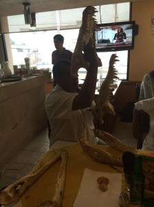 Las fauces del animal, del cocodrilo, pueden fracturar y cercenar huesos humanos de un solo segundo.