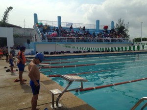 Los pequeños inician el Festival de Natación 2015 sin techo en las instalaciones de la alberca semi-olímpica.