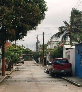 En calle Faisanes de Santa Isabel, hay un lote baldío municipal que ya fue cerrado por un portón de aluminio blanco. Hay una camioneta y taxi enfrente del predio.