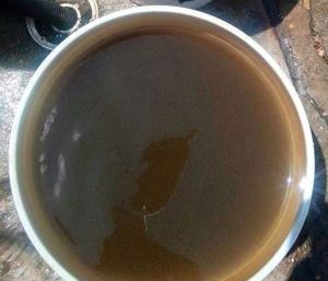 Gastan millones en carnavales, pero no en lo necesario. Así dan el agua "potable" en Villa Allende, Coatzacoalcos, dice Viridiana en Primero Tu Imagen, con Carlos Loret.