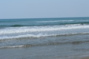 Playas del Golfo de México, en Nautla, son las más limpias.