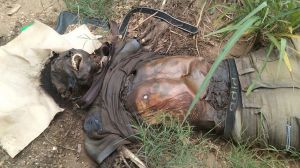 Ya presentaba un estado avanzado de descomposición. (Foto Nahum Davalos)