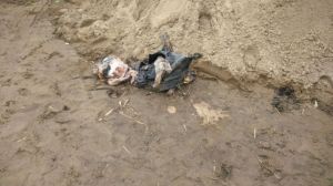 El cráneo desmembrado del cuerpo de un ejecutado.