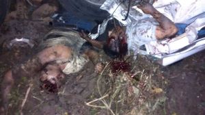 victimas del accidente.