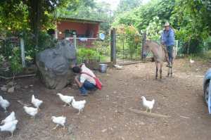 La piedra, con tallados olmecas, está en el rancho El Repartidor, del municipio de Mecayapan en la comunidad Los Laureles. 