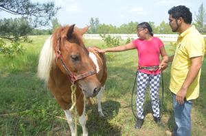La interacción con caballos genera ritmos en  el movimiento corporal.