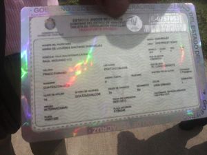 Los datos del vehículo incendiado.