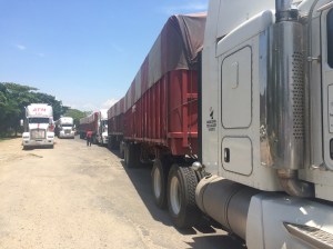 Son alrededor de 8 camiones varados en la carretera de acceso al recinto portuario.
