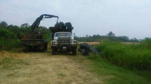 Fue asegurada, la recogieron con un tractocamión militar. (Foto de León Lafita) 
