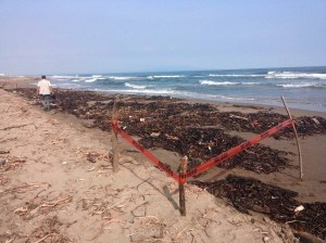 El área fue acordonada por las autoridades federales.