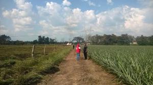 Protección Civil Estatal en el lugar del accidente.