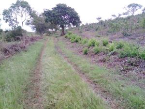 En este lugar fue el siniestro, en Martínez de la Torre.