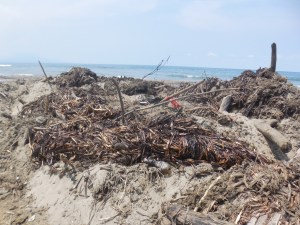 Los residuos de crudo y aceite fueron removidos por el Ayuntamiento.