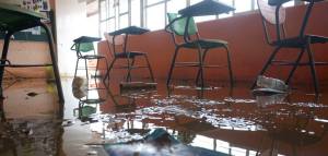 Mañana se reanudan las clases en Veracruz, tanto educación primaria como para la UV.