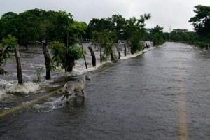 Caminos cortados hacia Hidalgotitlán. 