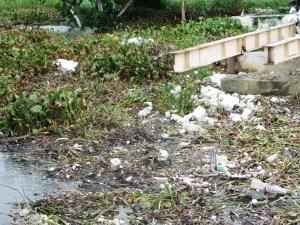  A un lado del puente en construcción, un gran tapón de planta acuática. 