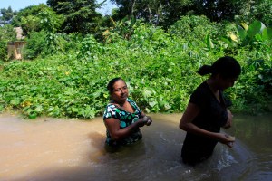 Capoacán e Hidalgotitlán, están bajo el agua. Completamente inundadas. (Foto de Sergio Balandrano) 