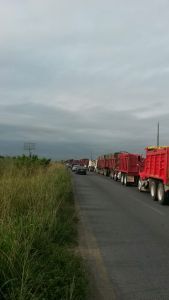 Son más de 200 unidades que participan.