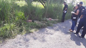 ERAN ESCOLTAS DEL SECRETARIO DE SEGURIDAD PUBLICA Y DEL GOBERNADOR