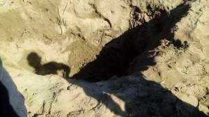 Se investiga el caso de más fosas clandestinas en municipios de la sierra al sur de Veracruz.