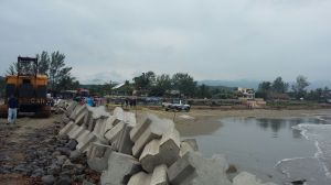 Apareció cerca de las Escollera por el área de palapas.