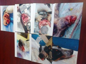 Estuvo cuatro horas en agonía.