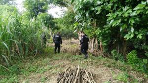 Empezaron a buscar el origen de los restos humanos.