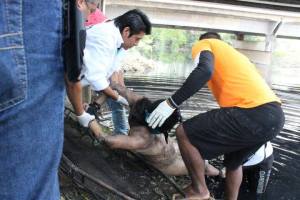 Se presume fue asesinada; muerta con las manos atadas a la espalda.