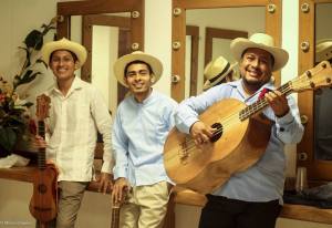 Son Jarocho del  mero Sotavento.