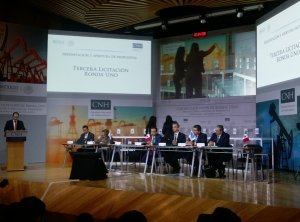  Se adjudican el 100% de las áreas contractuales licitadas, 5 en Tabasco, 6 en Veracruz, 2 en Tamaulipas, 5 en Chiapas y 7 en Nuevo León. 