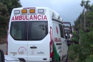 Hasta una ambulancia utilizaron los de la Profepa, para anestesiar a los ejemplares de felinos.