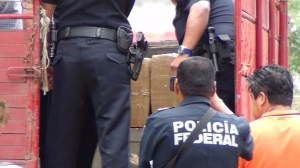 Fuerte decomiso; casi media tonelada de marihuana.