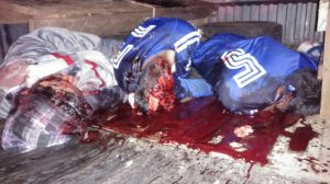 Los muertos por esta tragedia.