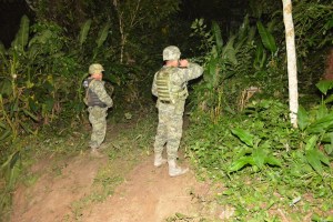 Buscan el cuerpo entre los matorrales. Pensaban hallar la cabeza. 