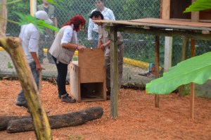 Llegó desde Chiapas.