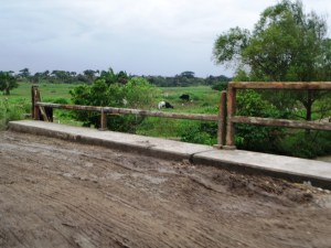  Los barandales de los puentes se desprenden a pedazos.