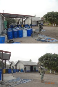 FOTOS DEL PIÑERO DE LA CUENCA.