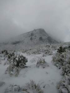 COMPLETAMENTE CUBIERTO DE NIEVE, la cima del Cofre de Perote.