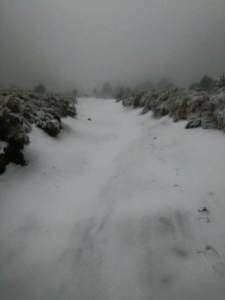 CUBIERTO DE COPOS DE NIEVE, el Cofre de Perote y comunidades rurales bajos las faldas de esta preciosa montaña veracruzana.