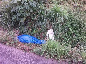 ESTABA ENVUELTO EN una lona.