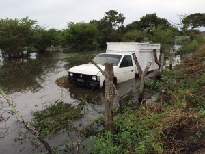 LA CAMIONETA FUE ASEGURADA.