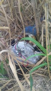 Ya presentaba signos de deterioro.