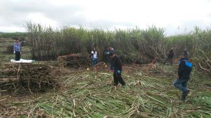 Otro ejecutado más, en Córdoba.