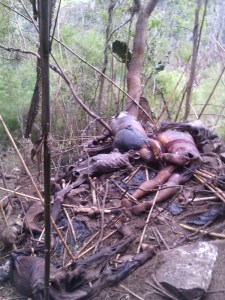 Es una pila de cadáveres. en El Lencero.