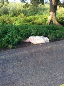 El cuerpo sin vida es de una persona de sexo masculino.