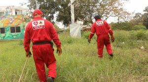 Buscan todo tipo de culebras que sean una amenaza al hombre. Aunque la verdadera amenaza es el hombre para ellas.