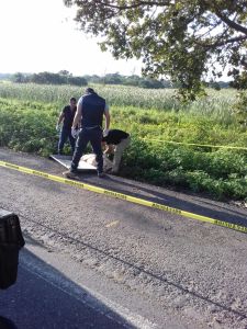 At1pxo1pzOZ8AP7eehQWFiRIUnnY6_NanlMtLGIKOLbf