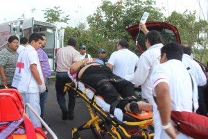 Sobreviven, pero están en condiciones graves de salud.