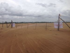 Acabaron con el pantano y el hábitat de cocodrilos y garzas. 