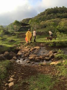 La Otra Opción, una reserva ecológica de Los Tuxtlas. 